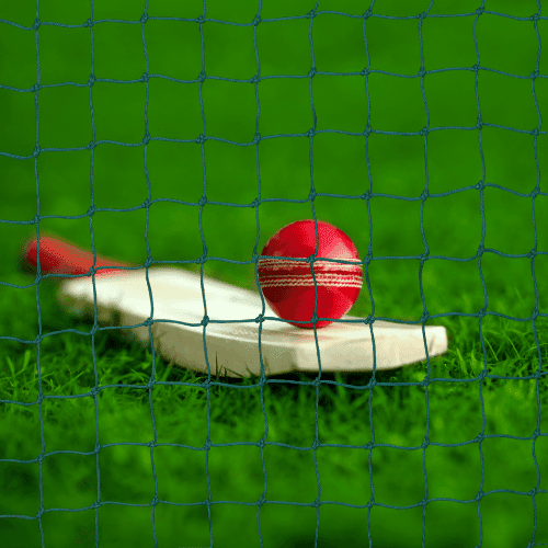 Cricket Net Installation Guide
