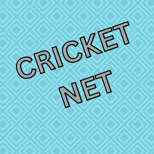 Top 5 Benefits of Installing Cricket Nets in Your Backyard