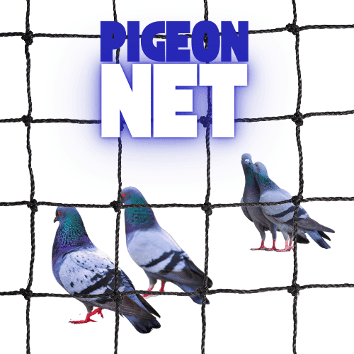 Top 10 Reasons to Install Bird Nets on Your Balcony or Terrace