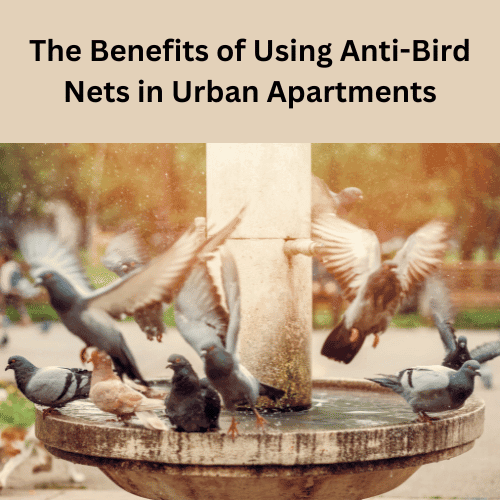 The Benefits of Using Anti-Bird Nets in Urban Apartments