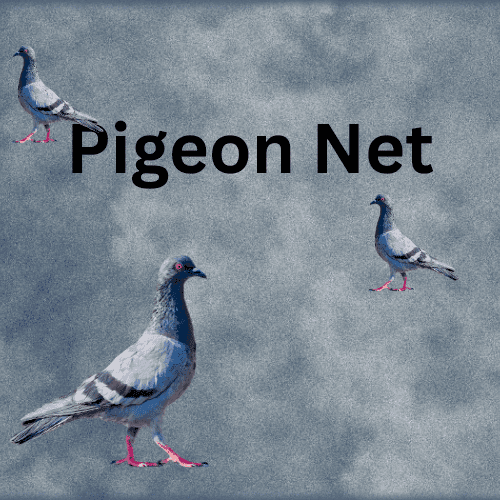 How Pigeon Nets Can Increase the Value of Your Property