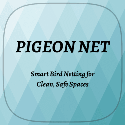 How to Choose the Right Bird Net for Your Home or Building