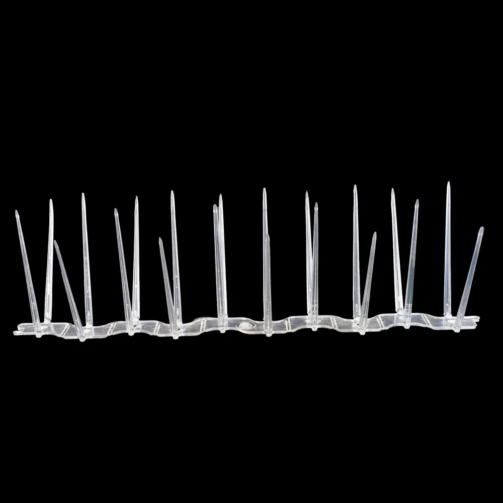 ProNet transparent 2 row bird spikes with polycarbonate base for pigeon control on narrow ledges and balconies